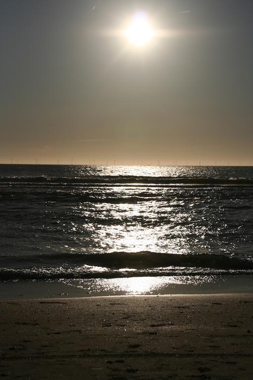 Limmen B&B Limmerzand المظهر الخارجي الصورة